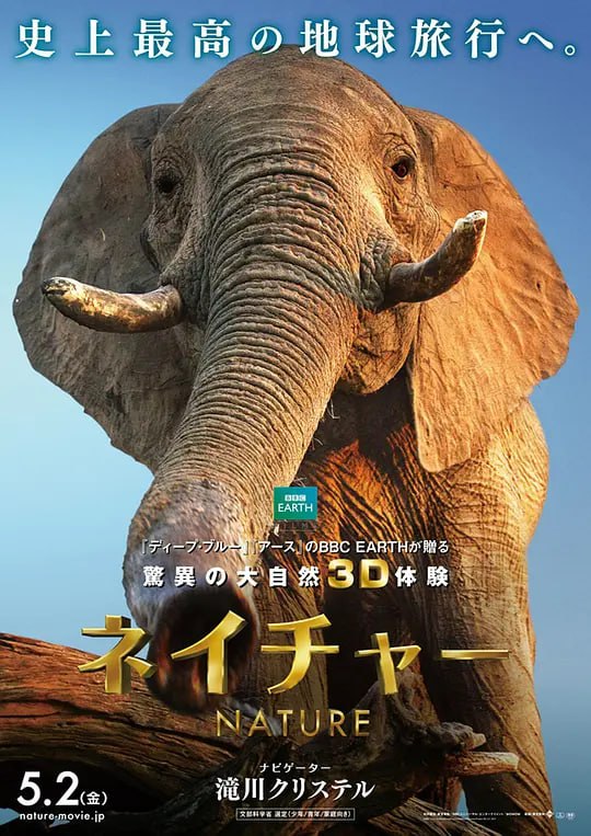 魔法王国 Enchanted Kingdom 3D (2014)-夸克网盘资源分享---影视-学习资料-电子书等等--