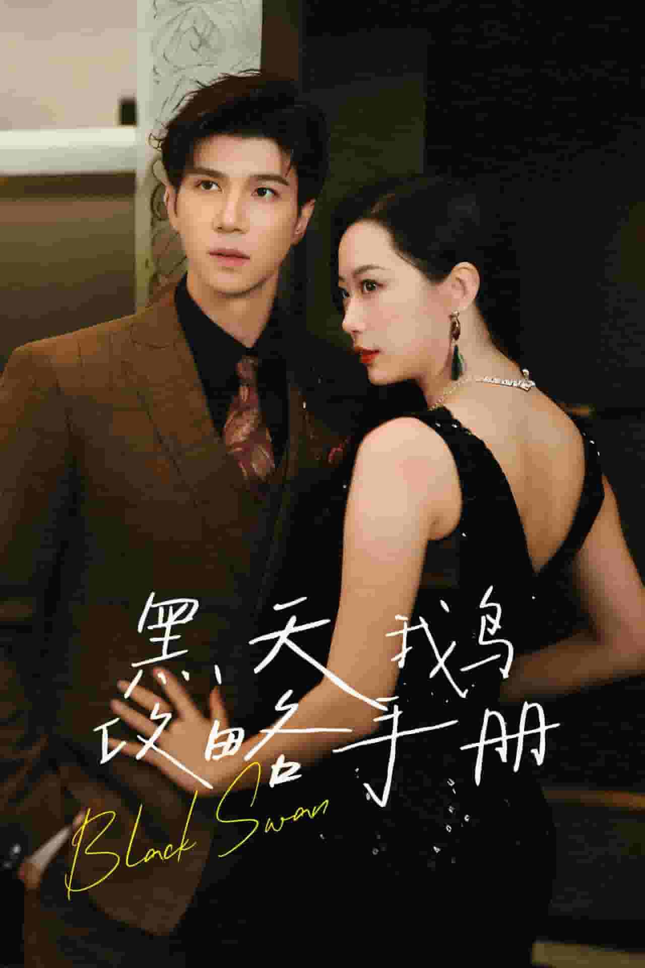 黑天鹅攻略手册-书籍-学习资料-电子书夸克网盘资源分享