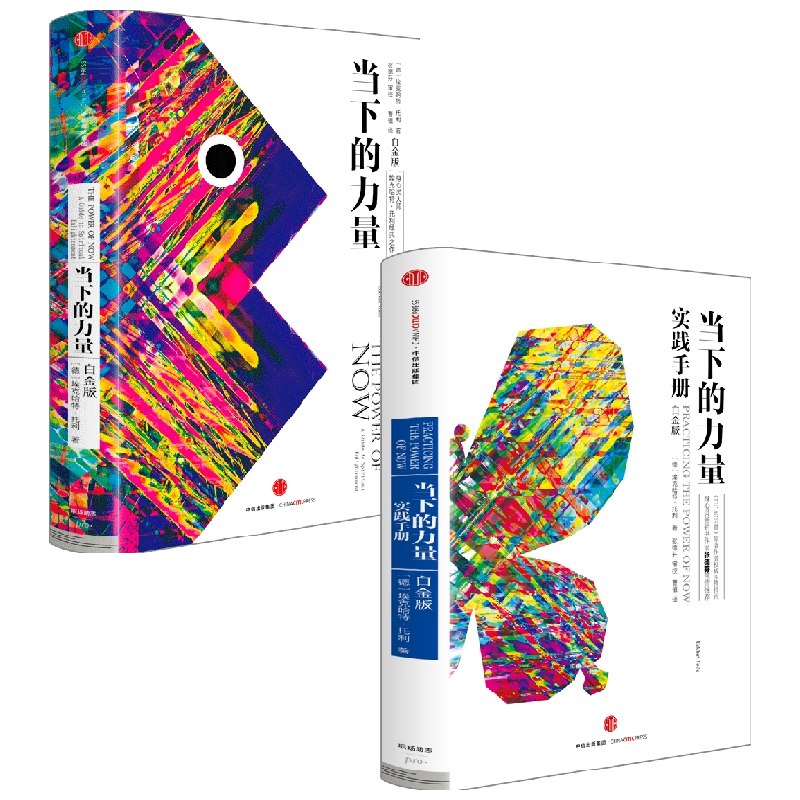 当下的力量+实践手册(套装共2册)-书籍-学习资料-电子书夸克网盘资源分享