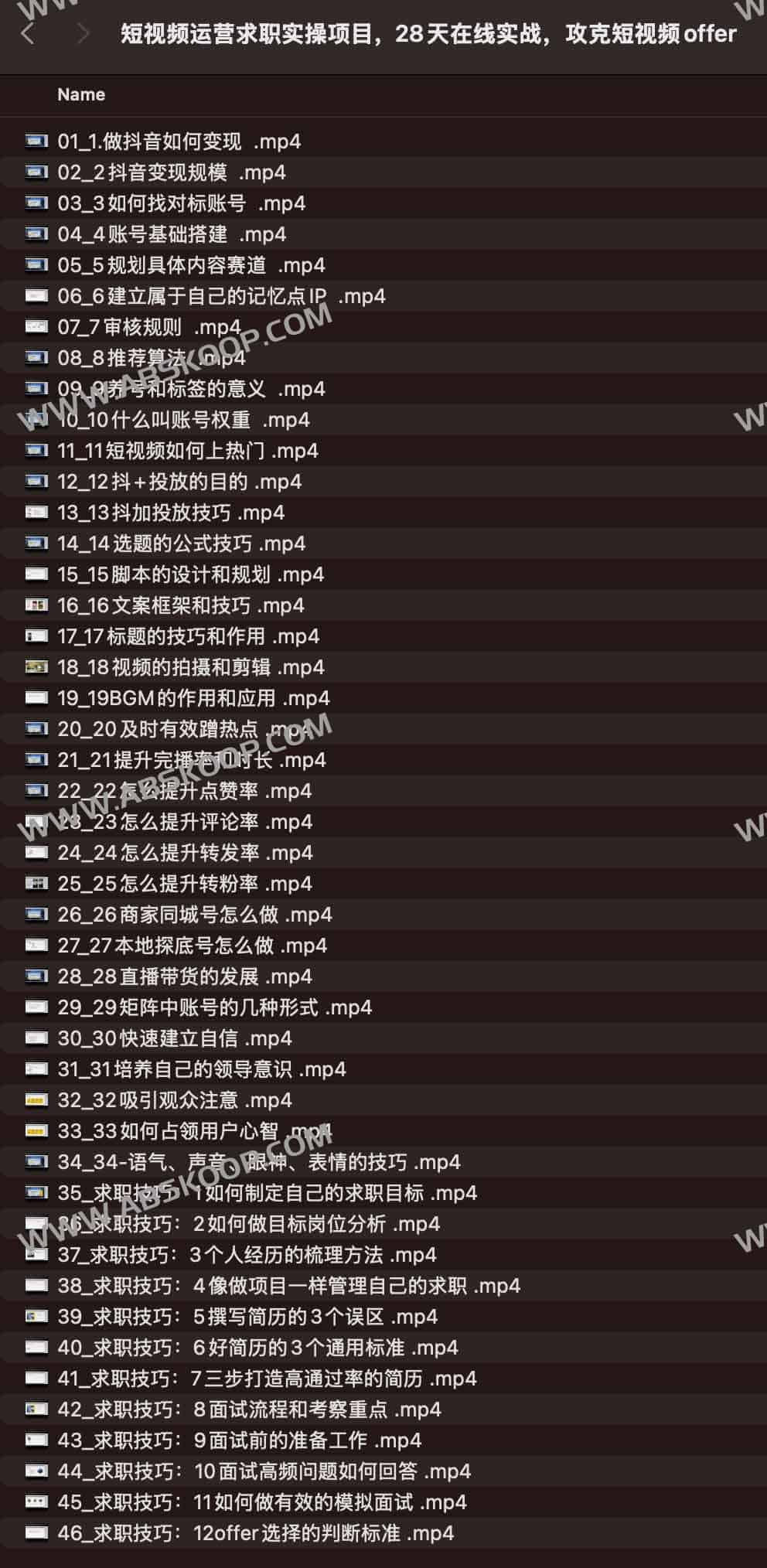 28天短视频运营求职实操项目-书籍-学习资料-电子书夸克网盘资源分享