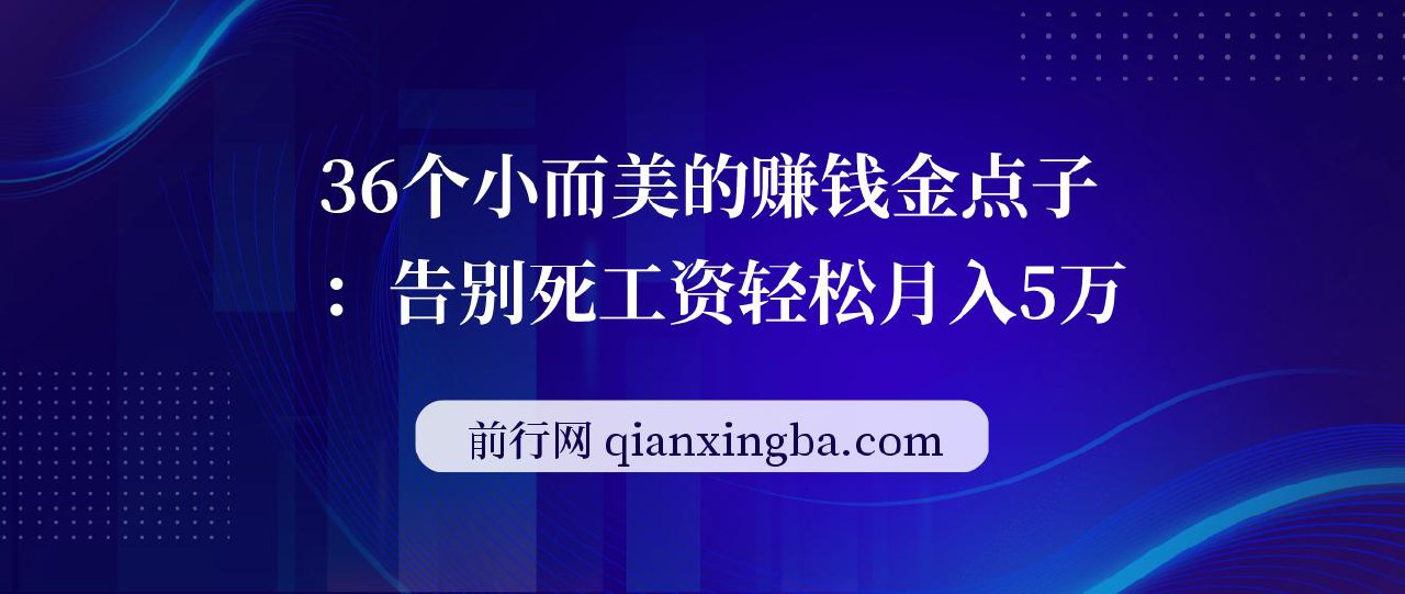 36个小而美的赚钱金点子:告别死工资,轻松月入5万-书籍-学习资料-电子书夸克网盘资源分享