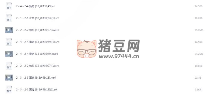 家庭紧急急救 视频讲解-书籍-学习资料-电子书夸克网盘资源分享