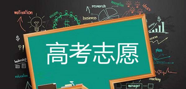 2024树成林志愿填报课-书籍-学习资料-电子书夸克网盘资源分享