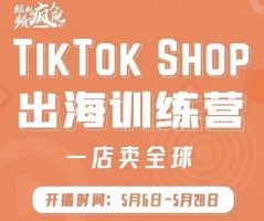 TikTokShop出海训练营(一店卖全球)-书籍-学习资料-电子书夸克网盘资源分享