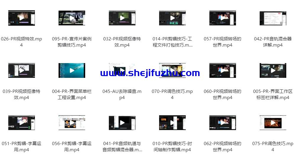 PR从零基础入门到视频剪辑大神教程-书籍-学习资料-电子书夸克网盘资源分享