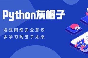 Python灰帽子网络安全实践-书籍-学习资料-电子书夸克网盘资源分享