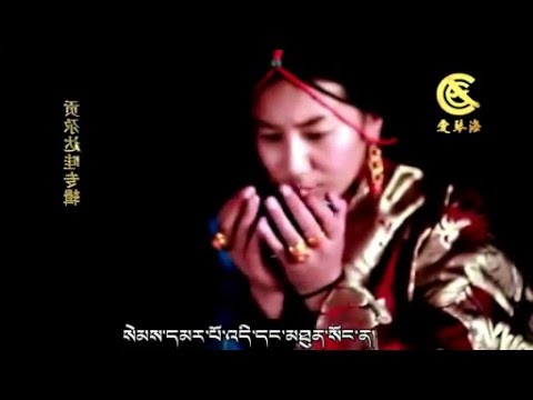 阿斯满歌曲合集-书籍-学习资料-电子书夸克网盘资源分享