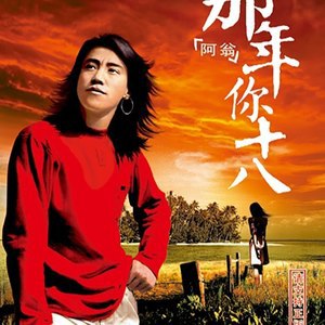 阿翁歌曲合集-书籍-学习资料-电子书夸克网盘资源分享