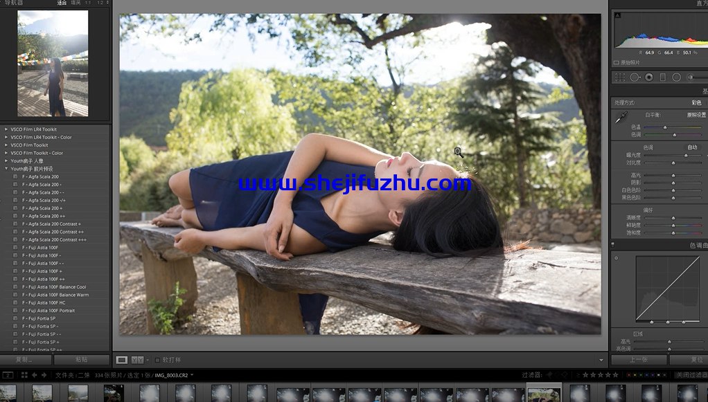 Youth疯子PS LR外景文艺修图调色暗系胶片摄影教学视频【国语教程】-书籍-学习资料-电子书夸克网盘资源分享