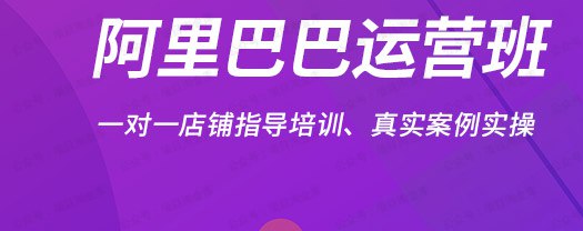 阿里巴巴店铺运营课-书籍-学习资料-电子书夸克网盘资源分享