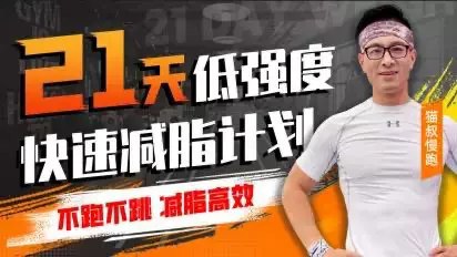 B站-猫叔21天低强度无跑跳高效减脂-书籍-学习资料-电子书夸克网盘资源分享