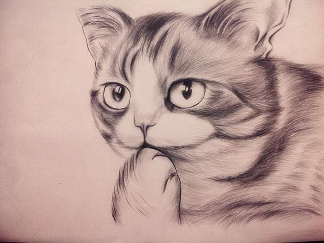 素描零基础直达四级课程102节视频 跟着视频学素描-书籍-学习资料-电子书夸克网盘资源分享