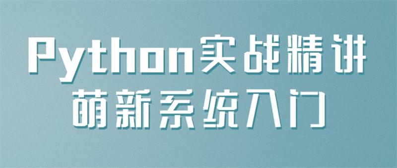 Python实战精讲萌新系统入门-书籍-学习资料-电子书夸克网盘资源分享
