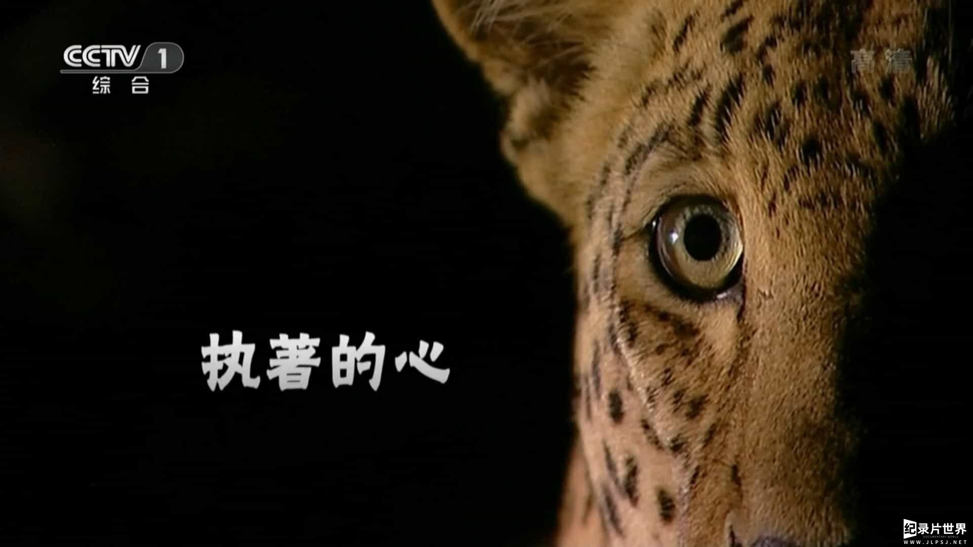 动物世界.108全集.赵忠祥版-书籍-学习资料-电子书夸克网盘资源分享