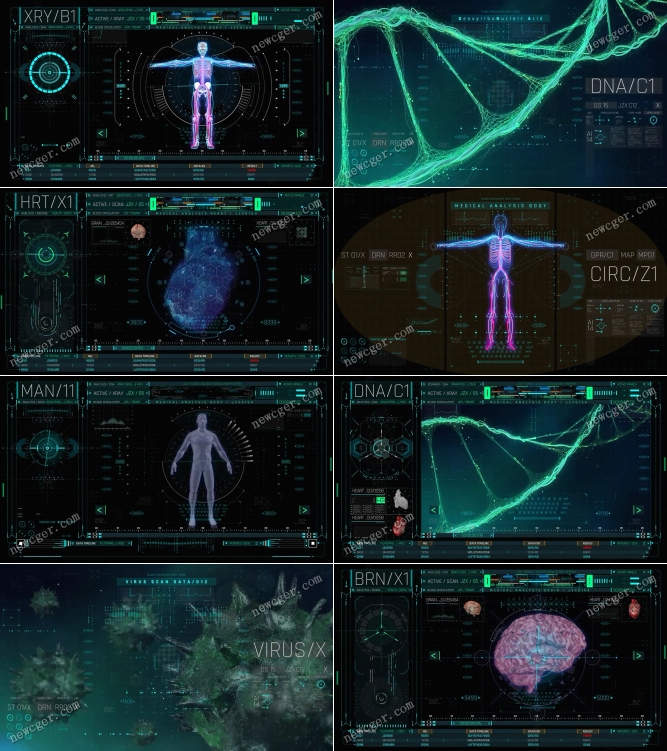 200款HUD人体全息科技医学实验研究数据信息图表UI动画AE模板-书籍-学习资料-电子书夸克网盘资源分享