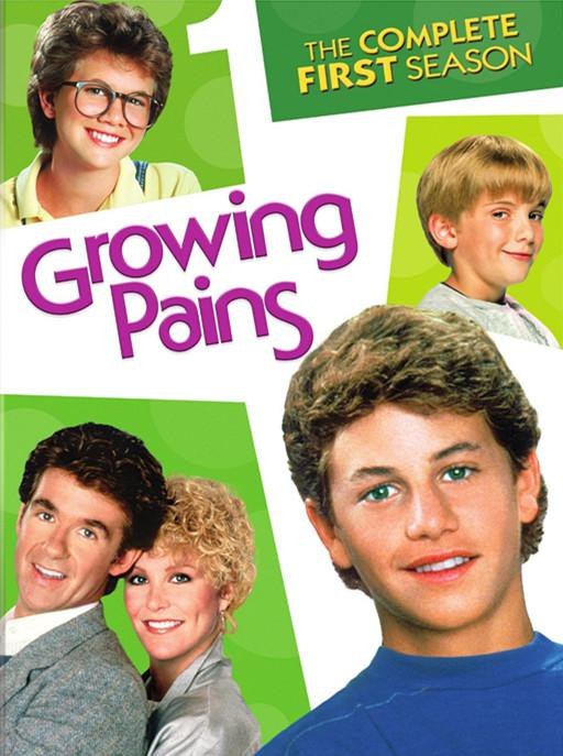 成长的烦恼.Growing Pains.1985-1992.全七季.国英双语外挂中英字幕-书籍-学习资料-电子书夸克网盘资源分享