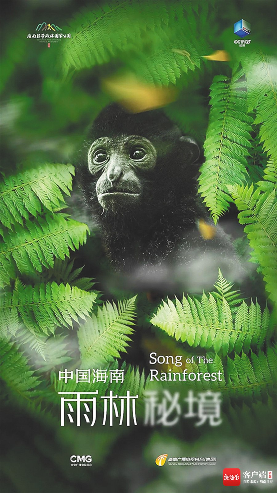 中国海南·雨林秘境.Song.of.The.Rainforrest.S01.2024.1080p.WEB-DL.H265.AAC-CHDWEB-书籍-学习资料-电子书夸克网盘资源分享
