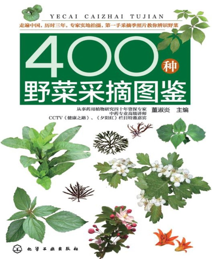 400种野菜采摘图鉴 辨识野菜PDF-书籍-学习资料-电子书夸克网盘资源分享