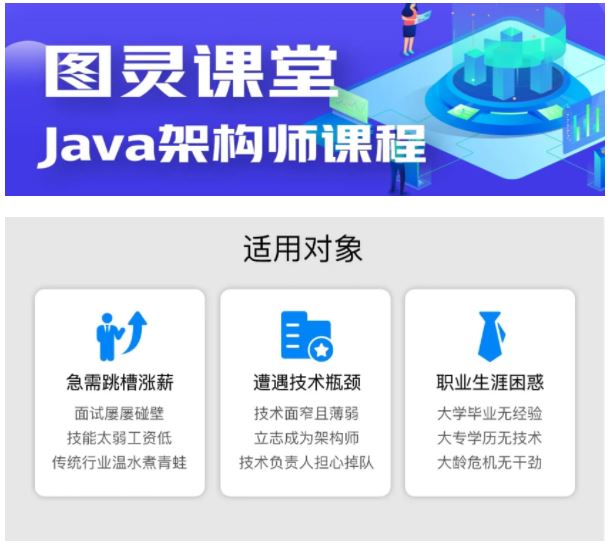 【图灵课堂】Java-架构师VIP精品课程(第六期) - 带源码课件-书籍-学习资料-电子书夸克网盘资源分享