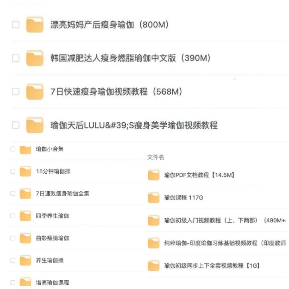 瑜伽课程合集(七大系列)-书籍-学习资料-电子书夸克网盘资源分享