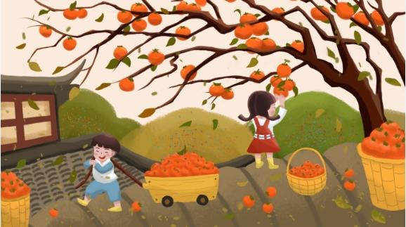 缦云申论系统理论一课通-书籍-学习资料-电子书夸克网盘资源分享