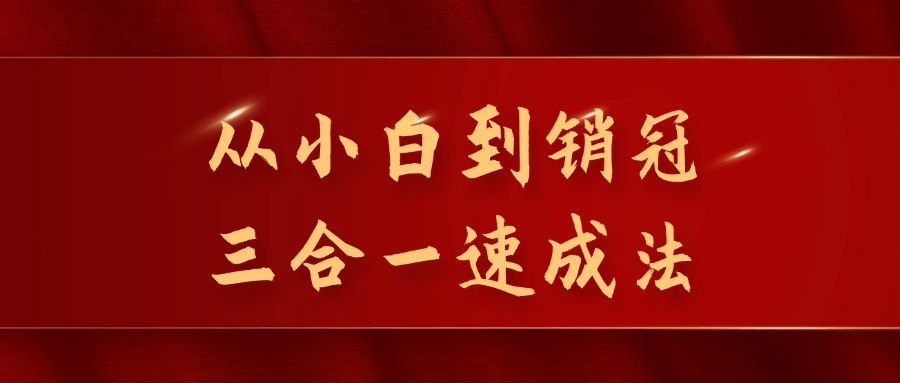 从小白到销冠三合一速成法-书籍-学习资料-电子书夸克网盘资源分享