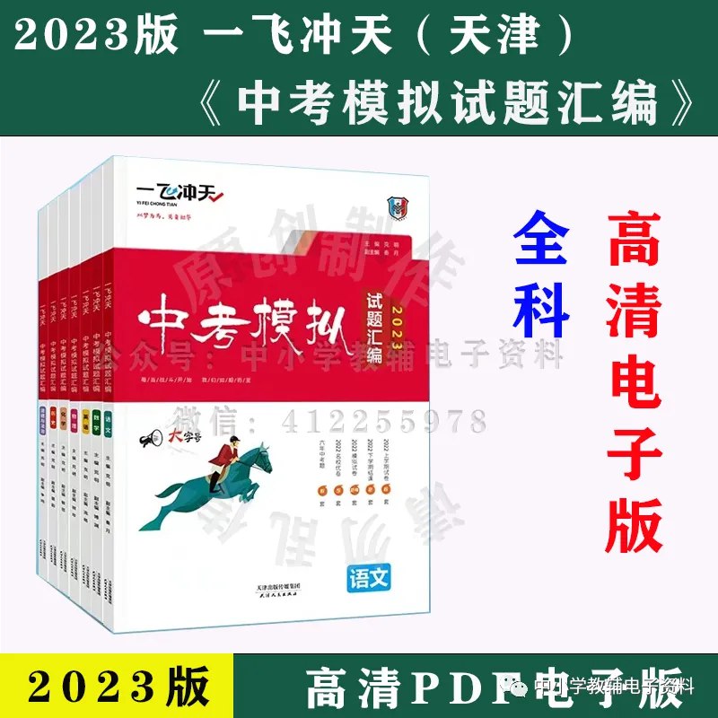 一飞冲天 中考专项试题合集-书籍-学习资料-电子书夸克网盘资源分享