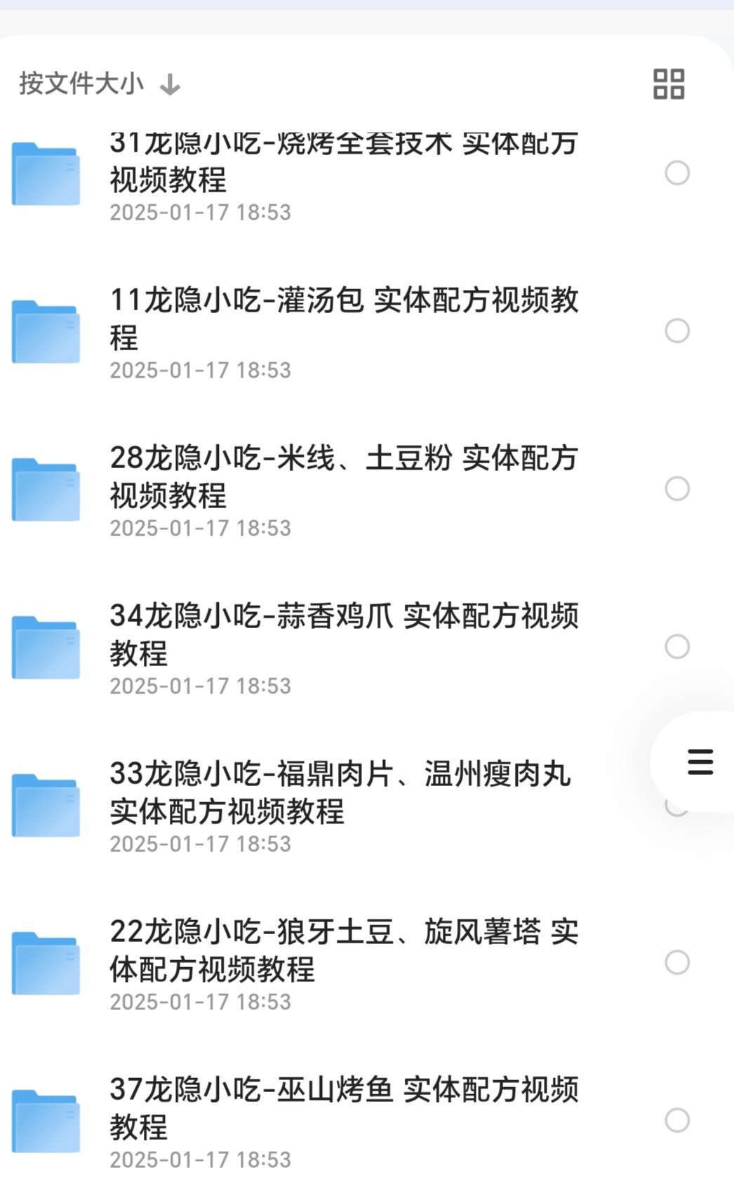 龙隐小吃街小吃教程大全 视频教学美食做法 价值上千-书籍-学习资料-电子书夸克网盘资源分享