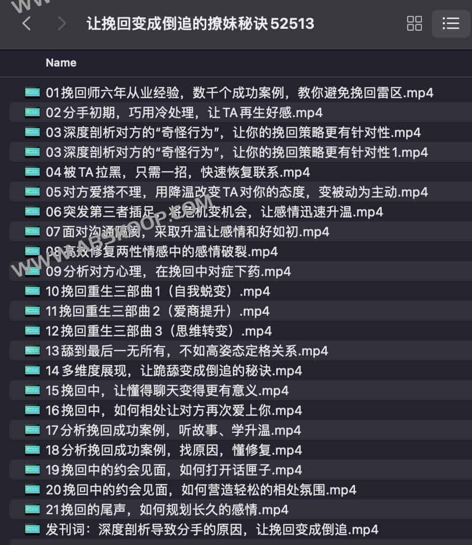 让挽回变成倒追的撩妹秘诀 【课程】【视频】-书籍-学习资料-电子书夸克网盘资源分享