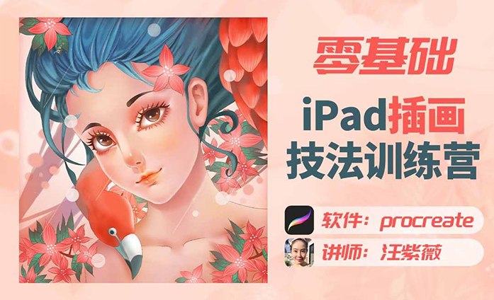 汪紫薇零基础IPAD插画技法实训-书籍-学习资料-电子书夸克网盘资源分享