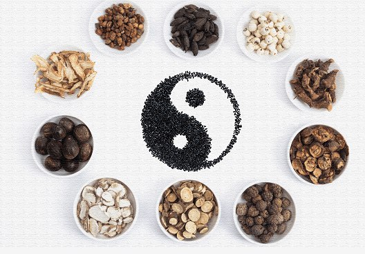 中医中药-书籍-学习资料-电子书夸克网盘资源分享