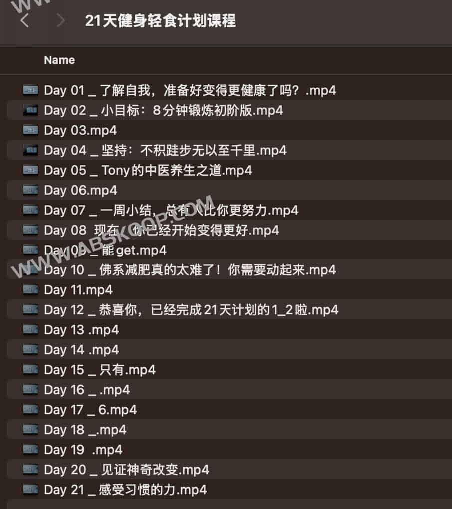 21天健身轻食计划课程-书籍-学习资料-电子书夸克网盘资源分享
