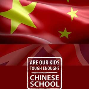 我们的孩子足够坚强吗？中式学校 (2015)-书籍-学习资料-电子书夸克网盘资源分享