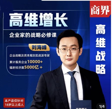 企业家的战略必修课20节-书籍-学习资料-电子书夸克网盘资源分享