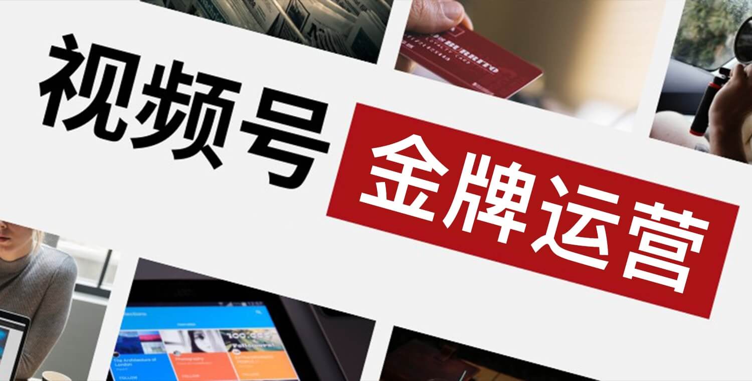 从0-1成为视频号内容金牌运营-书籍-学习资料-电子书夸克网盘资源分享