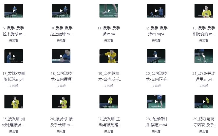 全世爆乒乓专业乒乓球教学课-书籍-学习资料-电子书夸克网盘资源分享