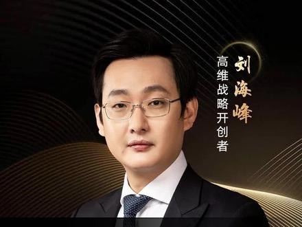 刘海峰高维战略增长篇10节课-书籍-学习资料-电子书夸克网盘资源分享