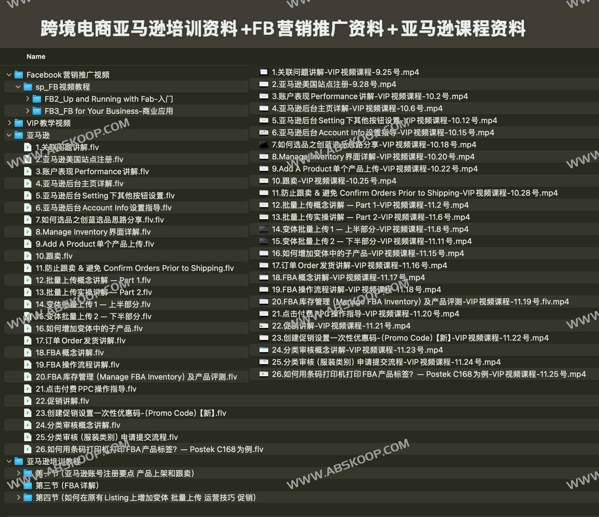 跨境电商亚马逊培训资料+FB营销推广资料+亚马逊课程资料-书籍-学习资料-电子书夸克网盘资源分享