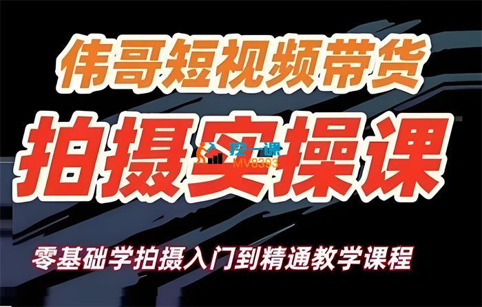 伟哥·短视频带货拍摄实操课-书籍-学习资料-电子书夸克网盘资源分享