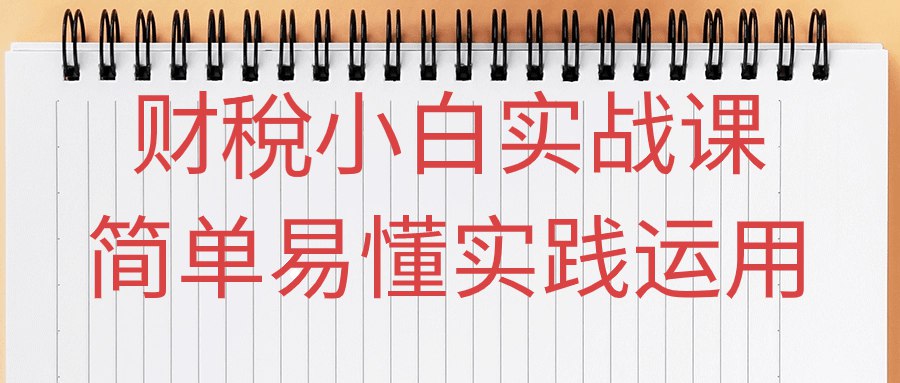 财稅小白实战课简单易懂实践运用-书籍-学习资料-电子书夸克网盘资源分享