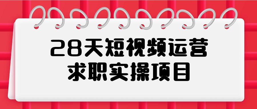 28天短视频运营求职实操项目-书籍-学习资料-电子书夸克网盘资源分享