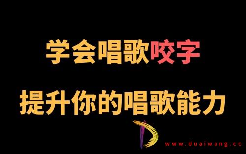 C系列养成科学的唱歌咬字课-书籍-学习资料-电子书夸克网盘资源分享