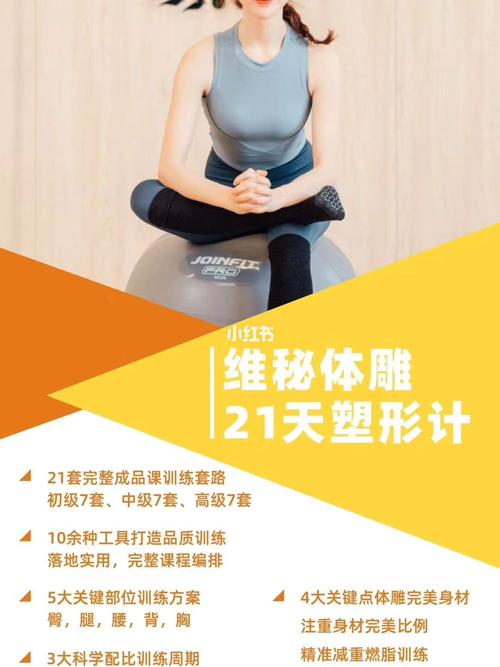 孙晶21天维密塑形全套视频课程 (带笔记)-书籍-学习资料-电子书夸克网盘资源分享