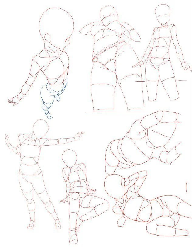 正比人体动态procreate绘画大师教程-书籍-学习资料-电子书夸克网盘资源分享