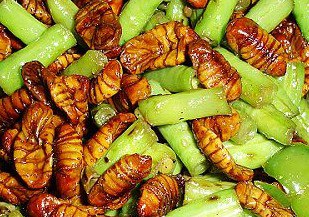 男性保健食疗食补处方补肝肾 补元阳 活筋骨 重振男人雄风-书籍-学习资料-电子书夸克网盘资源分享