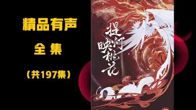 有声小说提灯映桃花（赵成晨&袁铭喆）-书籍-学习资料-电子书夸克网盘资源分享