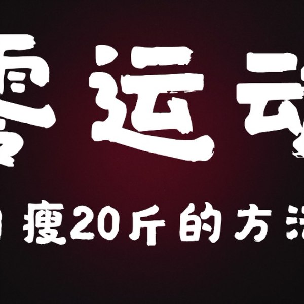 许岑·为什么不运动就可以减肥-书籍-学习资料-电子书夸克网盘资源分享