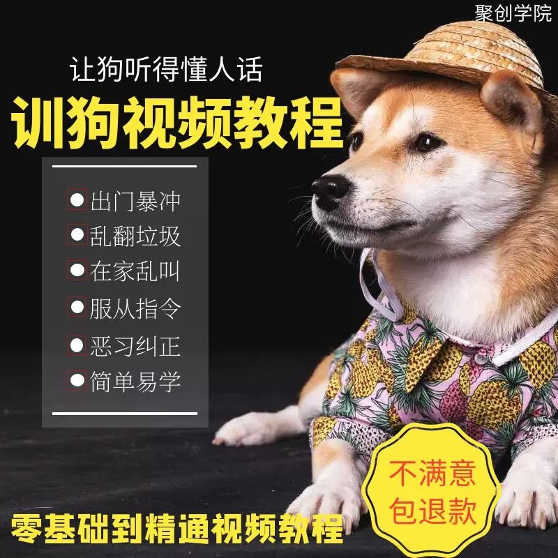 【训狗教程】0基础简单易学-书籍-学习资料-电子书夸克网盘资源分享