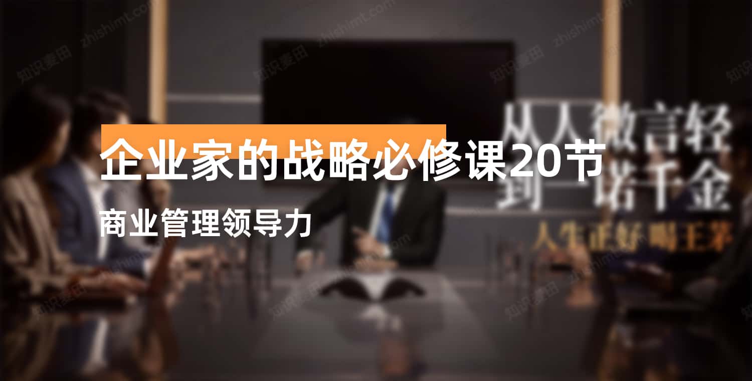 企业家的战略必修课20节-书籍-学习资料-电子书夸克网盘资源分享