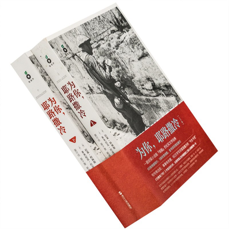为你,耶路撒冷(全新精装珍藏版)-书籍-学习资料-电子书夸克网盘资源分享